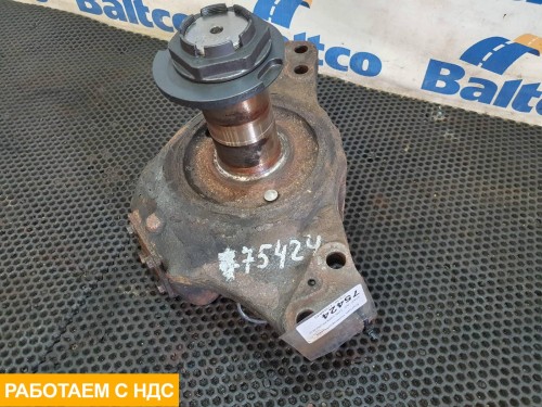 Кулак поворотный левый